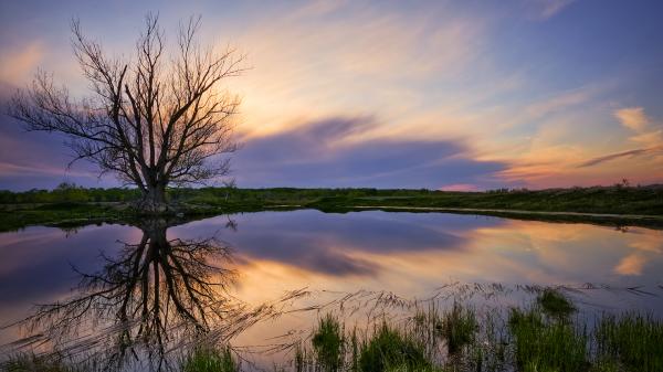 Nature Reflection
