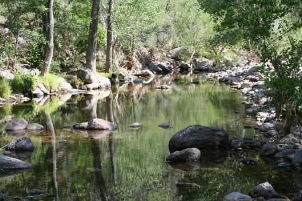 Nature reflections