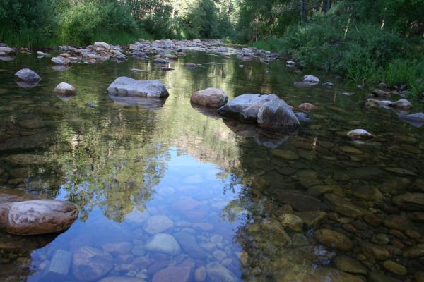 Nature reflections