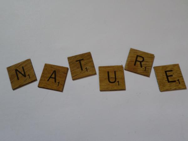 Nature scrabble style tiles