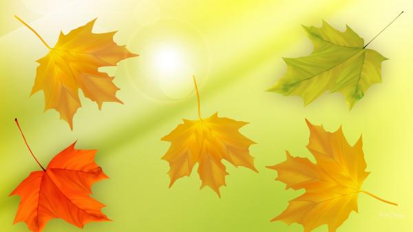 Nature simplistic beauty
