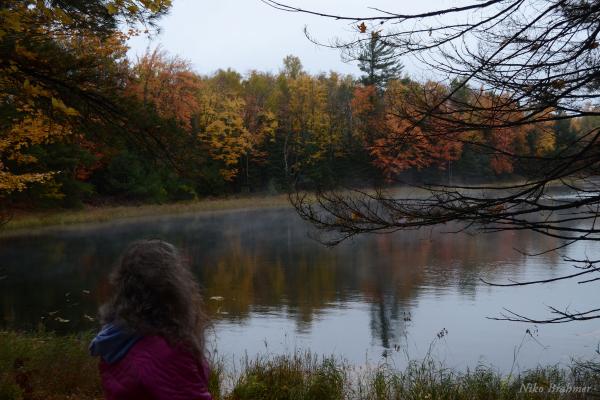 Nature simplistic beauty