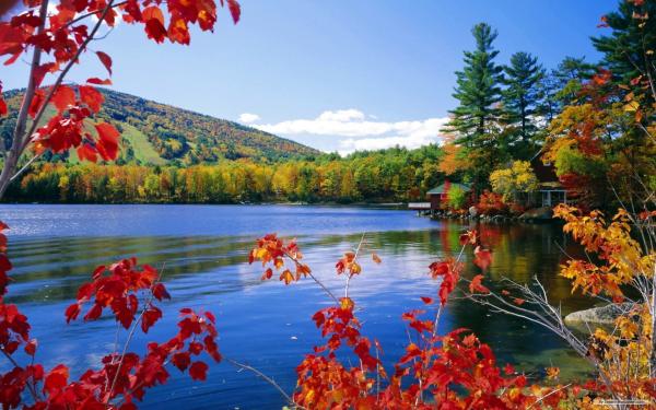 Nature simplistic beauty