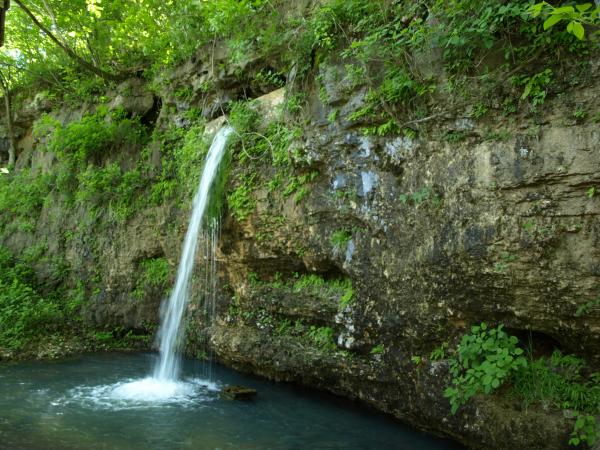 Nature Springs