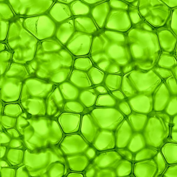 Nature texture