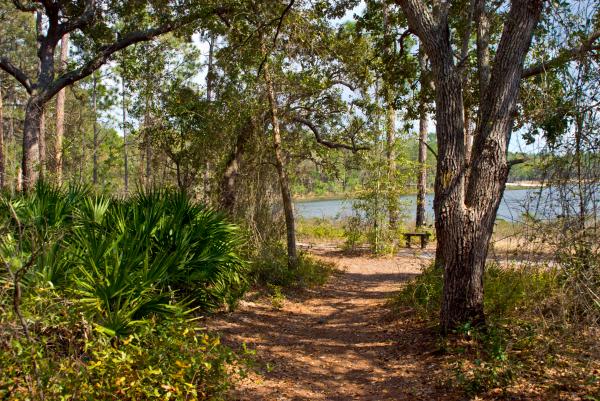 Nature Trail