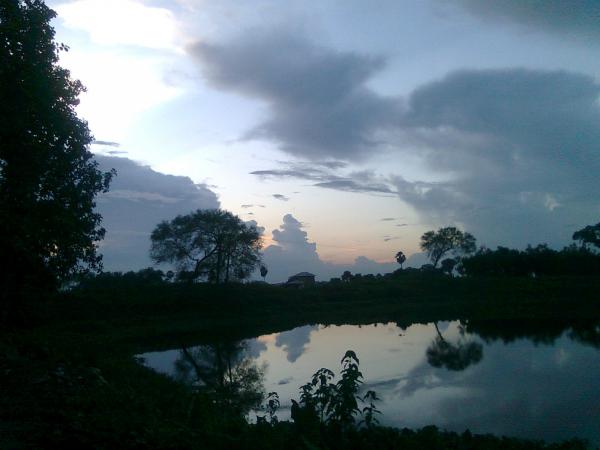 Nature View