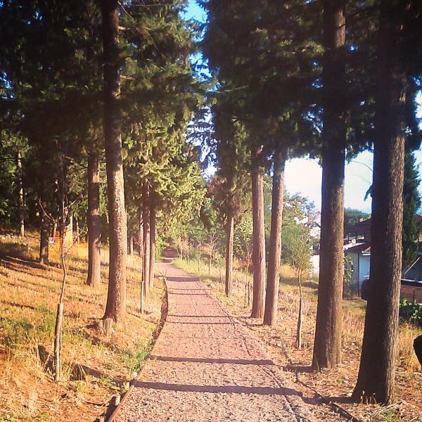 Nature walk