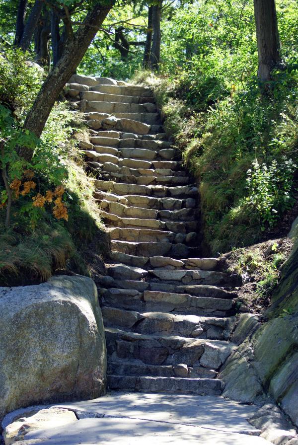 Natures Stairway