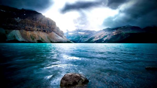 Natures beauty