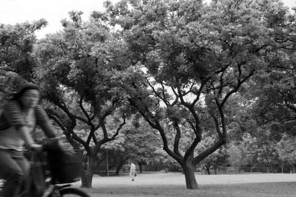 Near NTU Lib