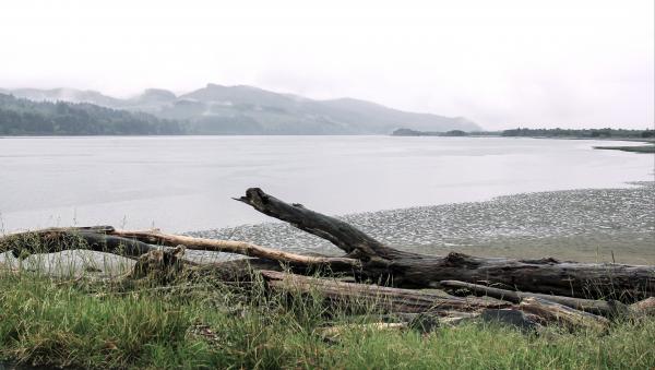 Nehalem Bay Oregon