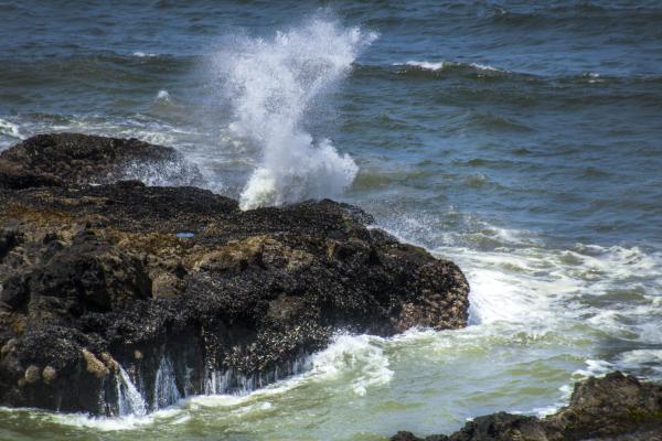 Neptune North, Oregon, Beach