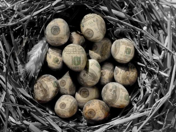 Nest