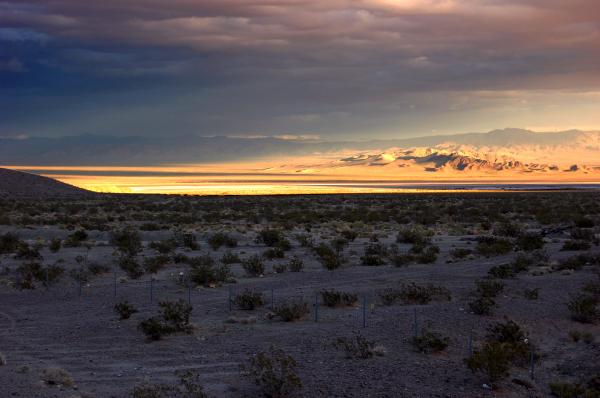 Nevada Desert