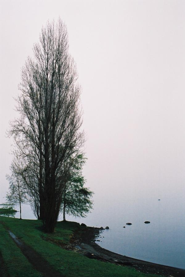 New Zealand landscape