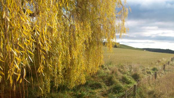 New Zealand Landscape in Winter