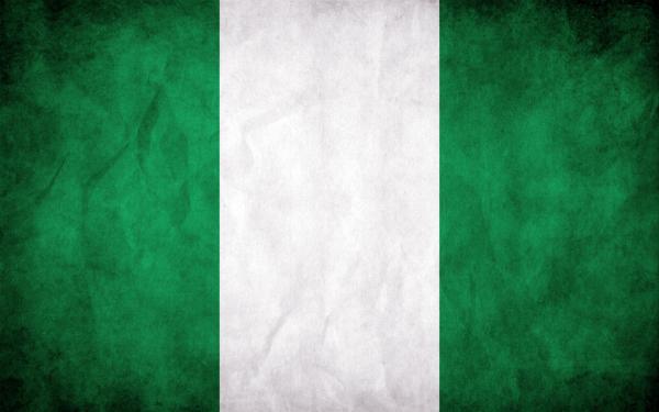 Niger Grunge Flag