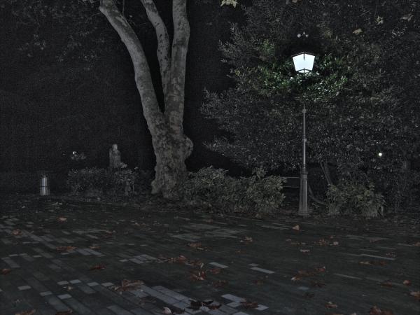 Night in the city park