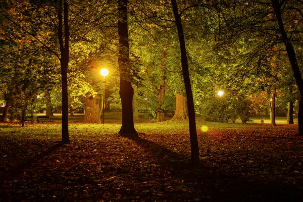 Night in the Park