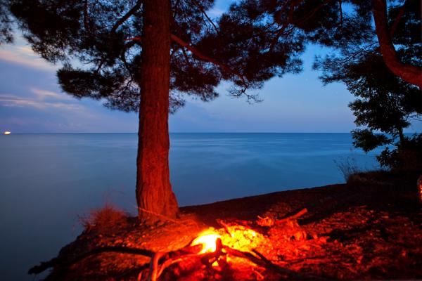 night scene