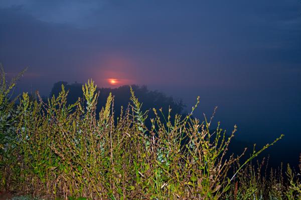 night scene