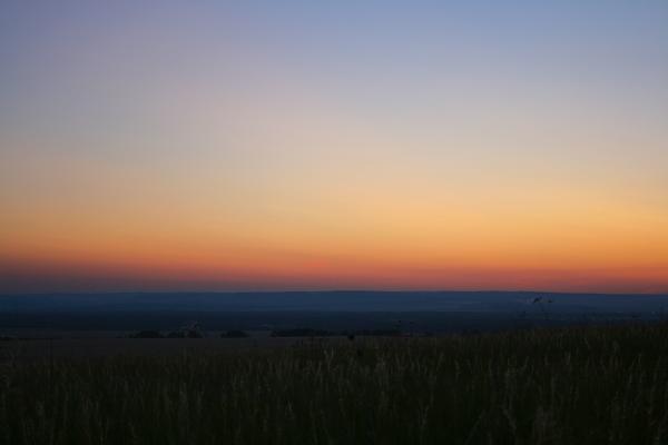 night scene
