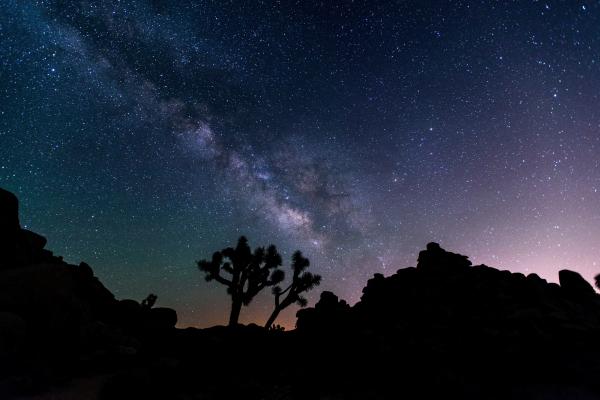 Night Sky