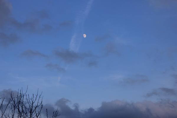 Night sky with moon