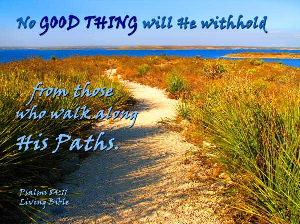 No Good Thing Withheld