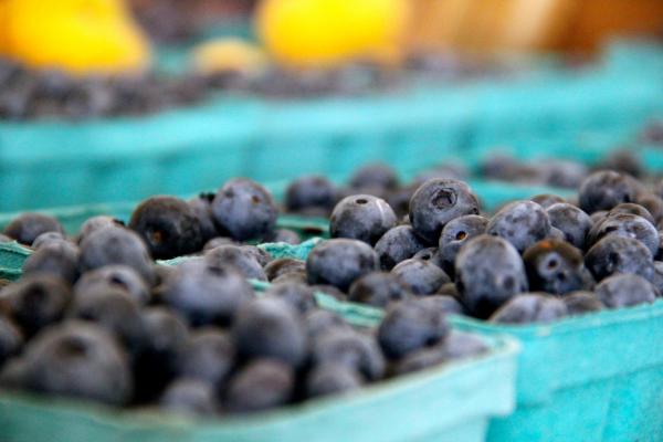 No more blueberries