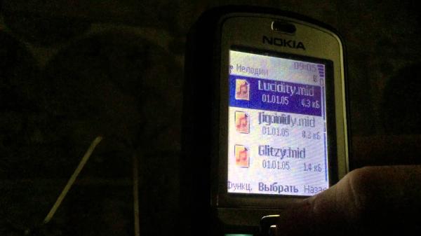 Nokia 6070