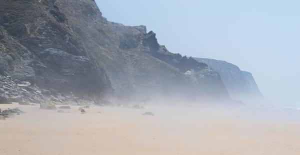 Noon @ low tide