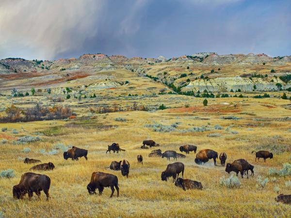 North Dakota