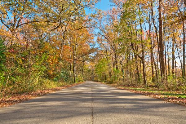 North Point Fall Road - HDR