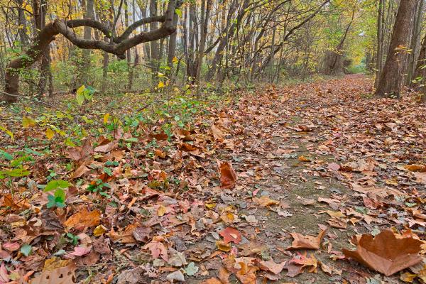 North Point Fall Trail - HDR