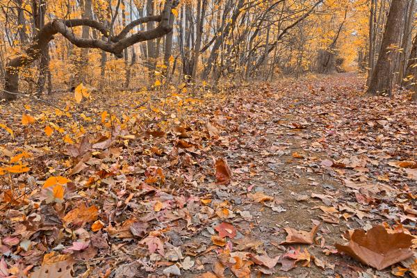 North Point Gold Trail - HDR