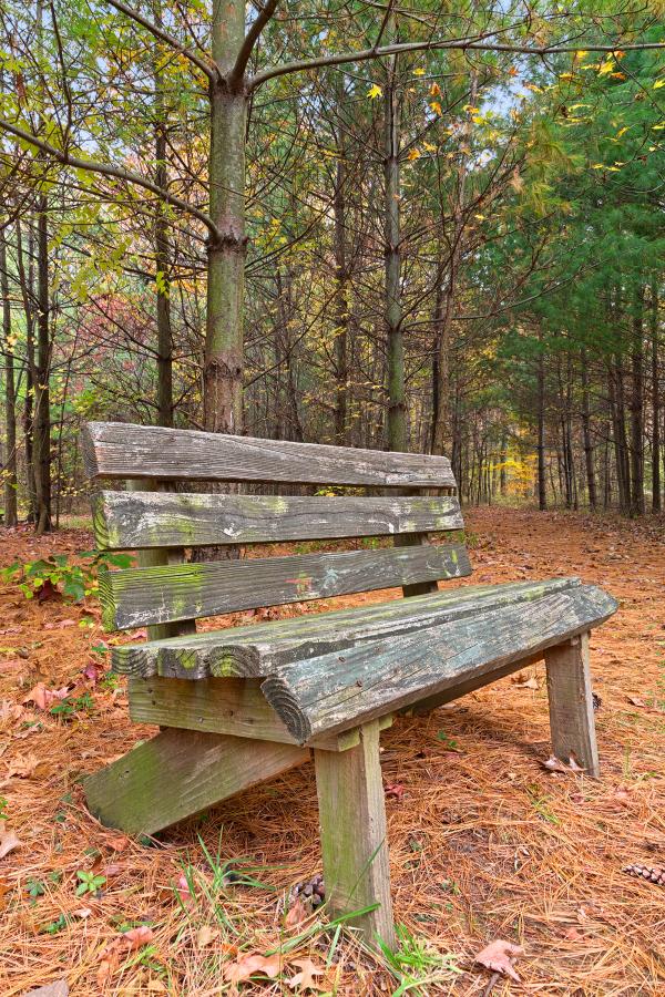 North Point Pine Trail - HDR
