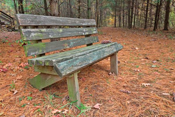 North Point Pine Trail - HDR