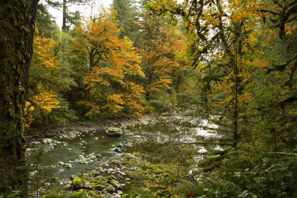 North Santiam River, Oregon
