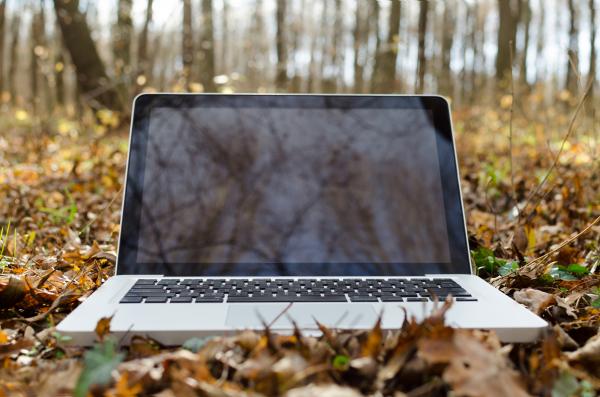 Notebook on the Forest Floor