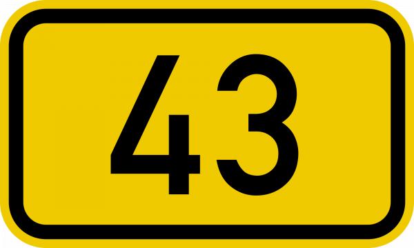 Number 43