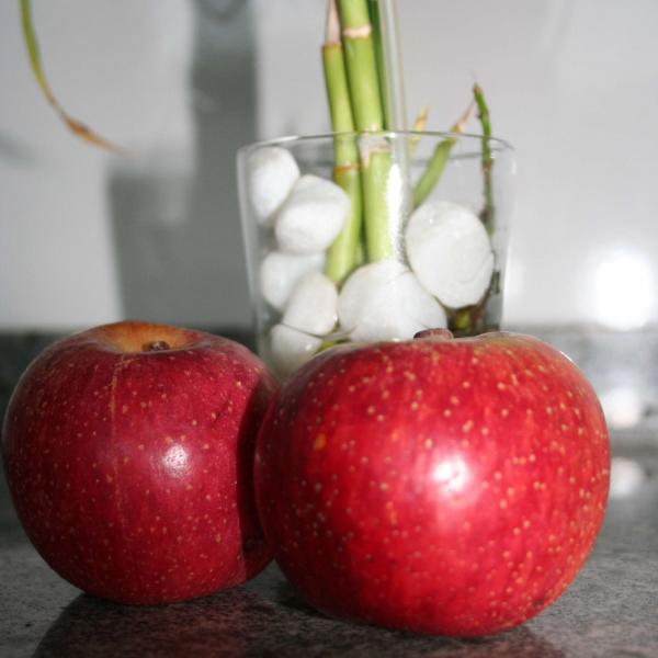Nutrition
