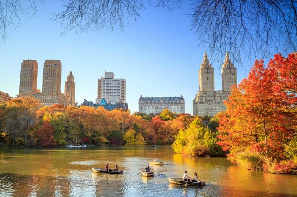 NYC in Fall