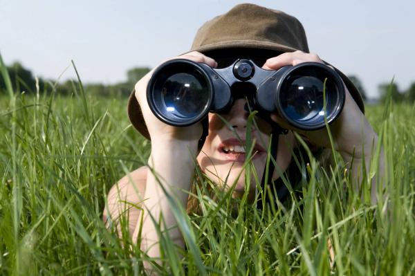 Observing