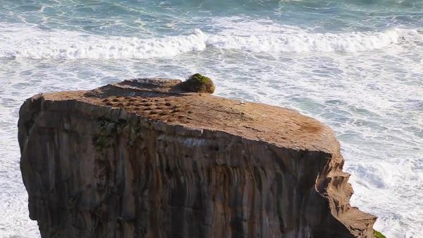 Ocean Rock