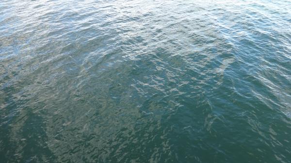Ocean Southampton