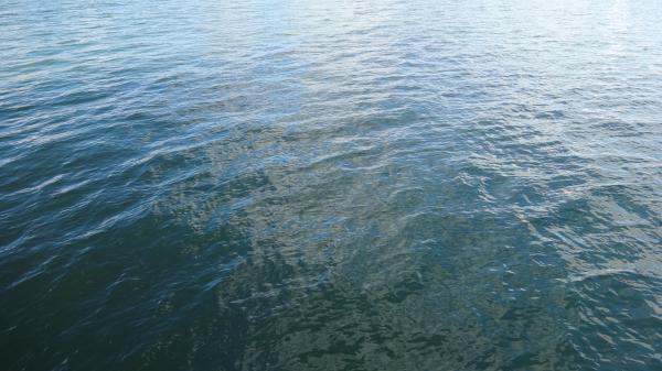 Ocean Southampton