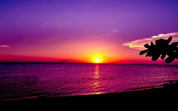 Ocean Sunset