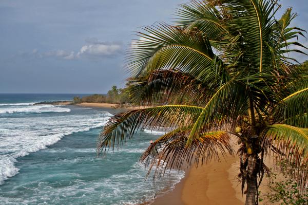 Ocean View